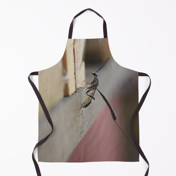 Item preview, Gasteruption Cinerescens Parasitoid Wasp designed and sold by Todays a Good Day.