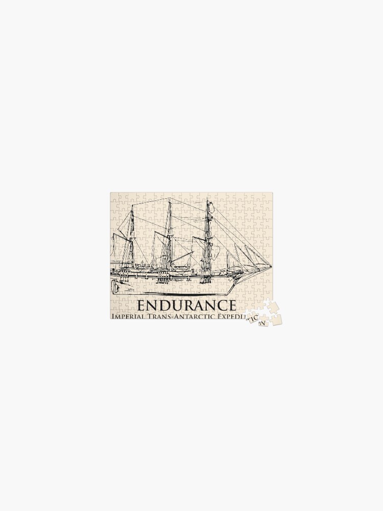 Endurance - Ernest Shackleton