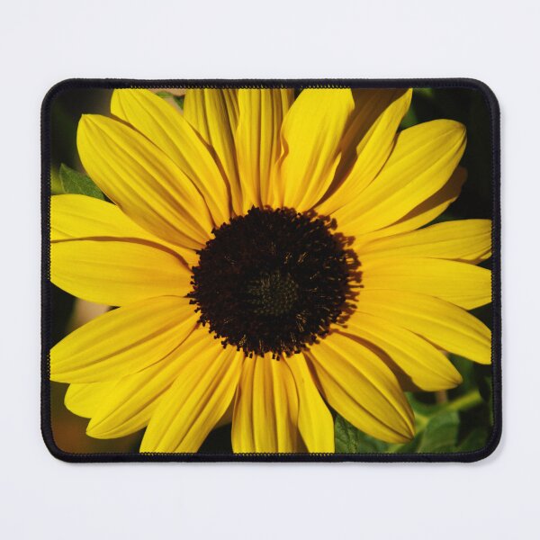 Item preview, Yellow Daisy in the Shadows designed and sold by CountyKent.