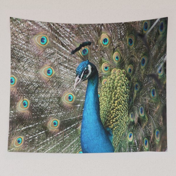 Item preview, Fabulous peacock tail display designed and sold by LuLoveLock.