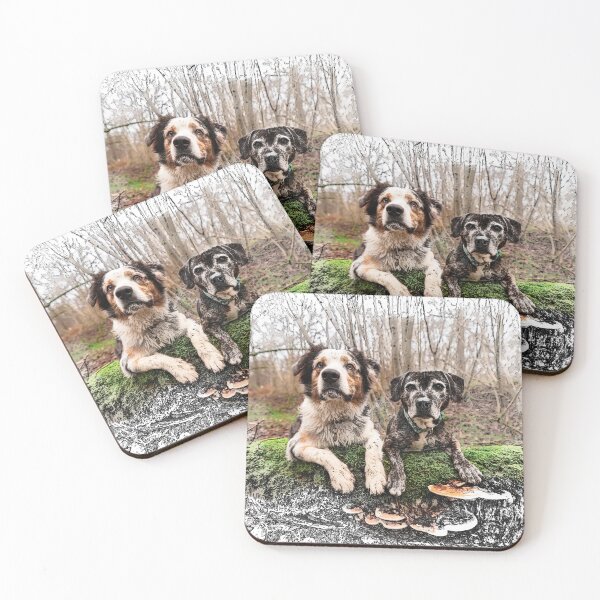 Item preview, Australin Shepherd and Beagle Cross designed and sold by PurpleBluesPets.