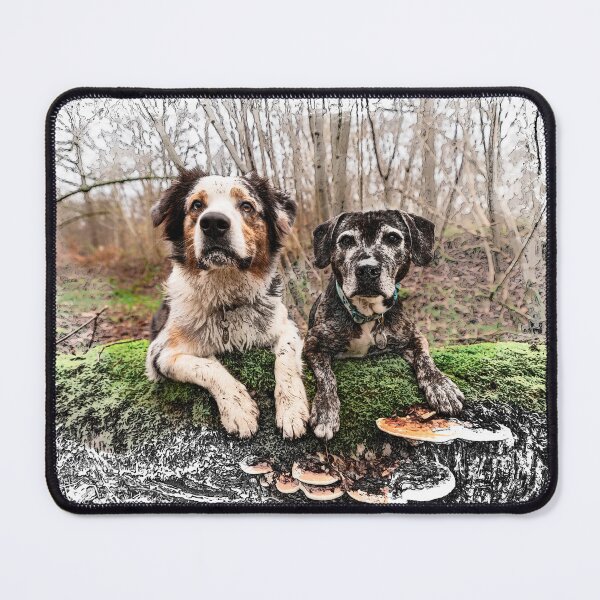 Item preview, Australin Shepherd and Beagle Cross designed and sold by PurpleBluesPets.