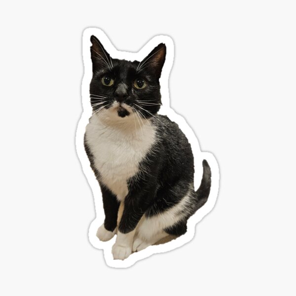 Kasper Sticker