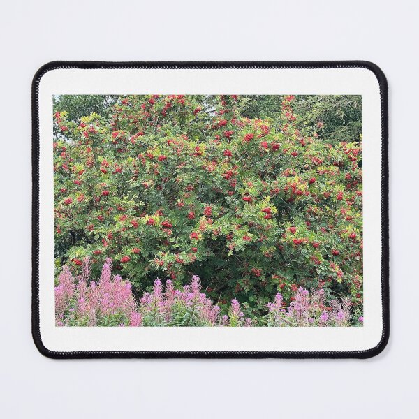 Item preview, Rowan tree designed and sold by NICKAGE911.