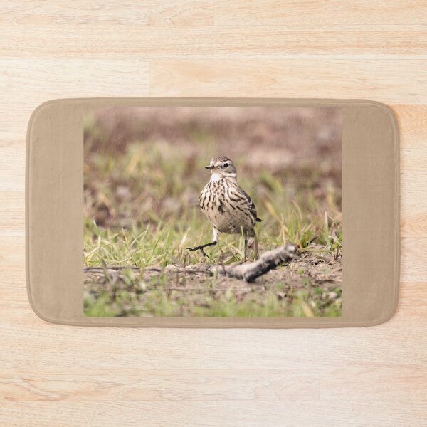 Item preview, American Pipit Strutting It's Stuff designed and sold by CarolM.