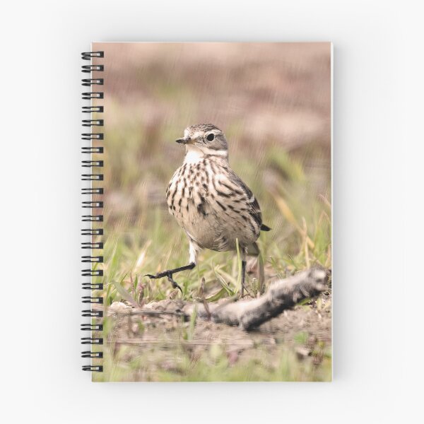 Item preview, American Pipit Strutting It's Stuff designed and sold by CarolM.