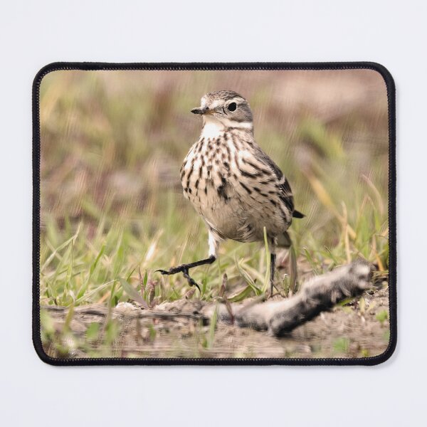 Item preview, American Pipit Strutting It's Stuff designed and sold by CarolM.