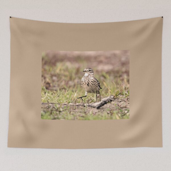 Item preview, American Pipit Strutting It's Stuff designed and sold by CarolM.