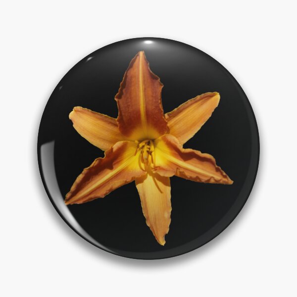Item preview, Sunset Blossom: The Daylily of Magpie Springs by Avril Thomas designed and sold by MagpieSprings.