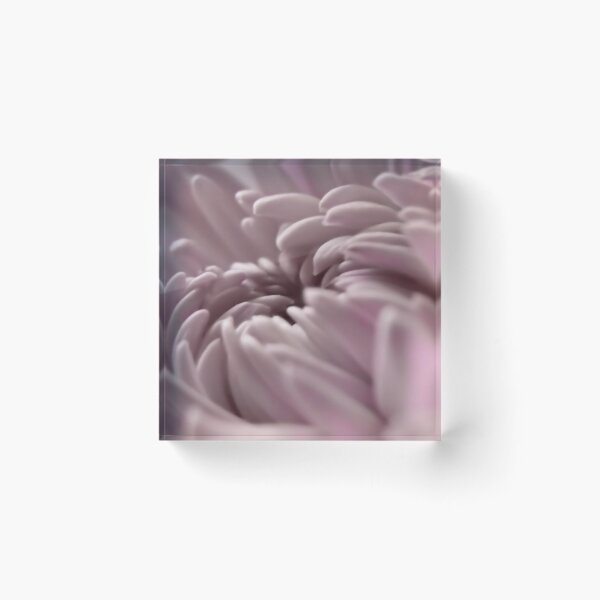 Item preview,  Soft Lavender  designed and sold by Carla Jensen.