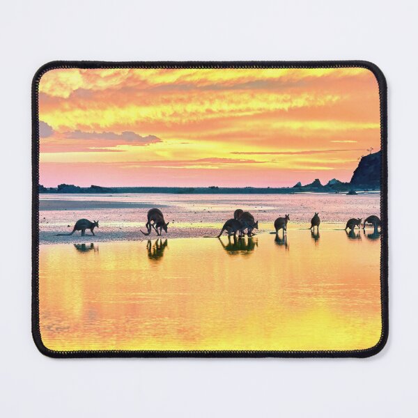Item preview, Cape Hillsborough - QLD Australia Sunrise Mob of Kangaroos designed and sold by Adam Gormley.
