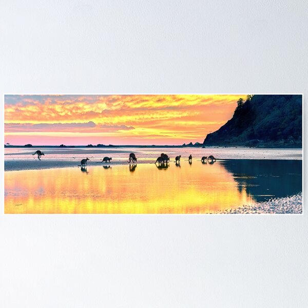 Item preview, Cape Hillsborough - QLD Australia Sunrise Mob of Kangaroos designed and sold by Adam Gormley.