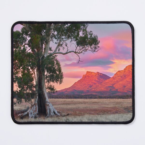 Item preview, Flinders Ranges - Cazneaux Tree Sunrise Wilpena Pound designed and sold by Adam Gormley.