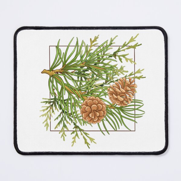 Item preview, Maine White Pine Cone State Flower Classic T-shirt Sticker designed and sold by ThinkNature!.
