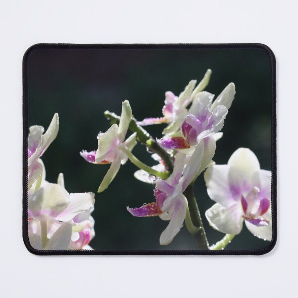 Item preview, Rain drops on orchid designed and sold by agnessa38.