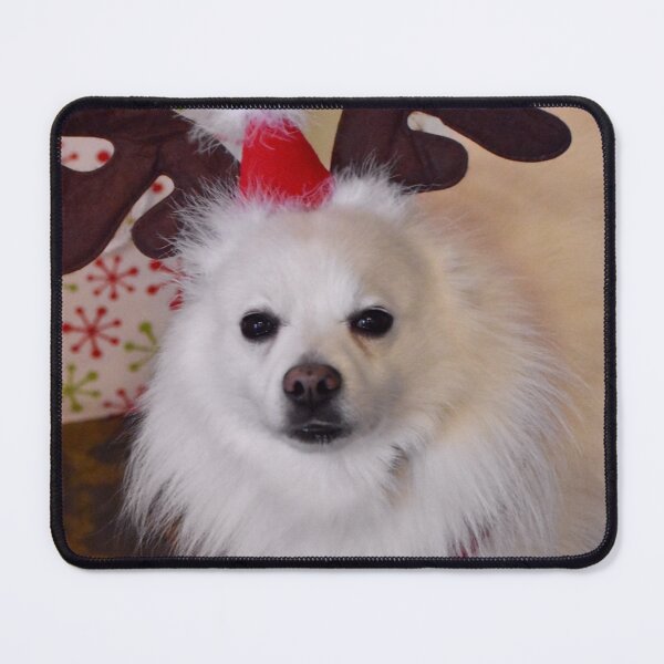 Item preview, Funny Furry White Dog Wearing Reindeer Antlers at Christmas designed and sold by Yogibear & Rachelle .