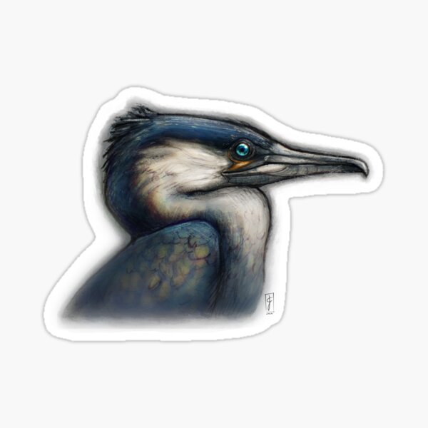 Item preview, Great Cormorant designed and sold by Laura Cavus Illustrations.
