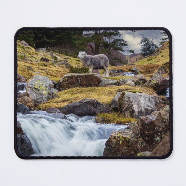 Item preview, "Wild Beauty of Blea Tarn: A Herdwick's Haven" designed and sold by philpace.