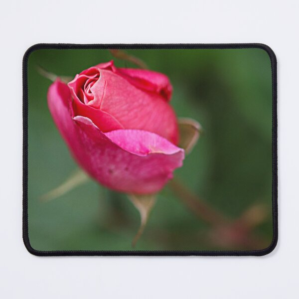 Item preview, Rosebud. designed and sold by Paul Pasco.
