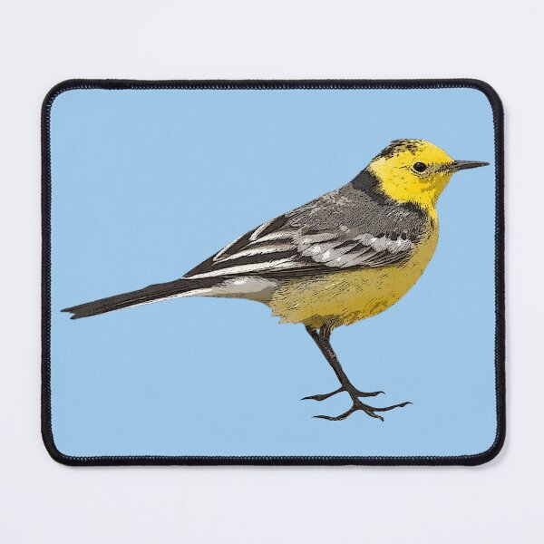 Item preview, Citrine Wagtail Color Design  designed and sold by designsasstultd.