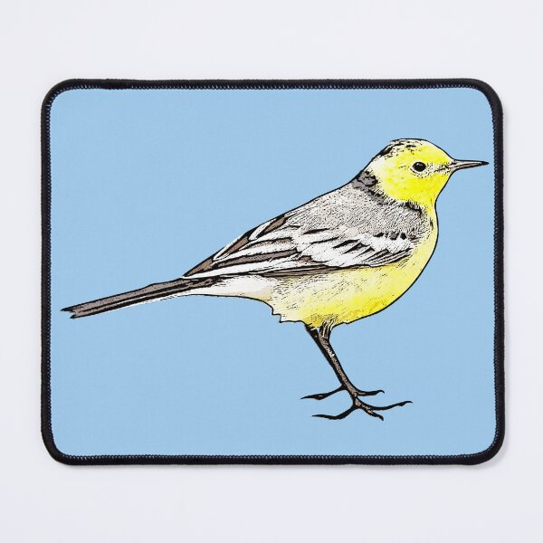 Item preview, Citrine Wagtail Black Alternate Design  designed and sold by designsasstultd.