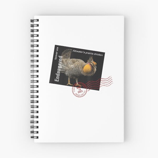 Item preview, Attwaters Prairie Chicken Postmark designed and sold by webvein.