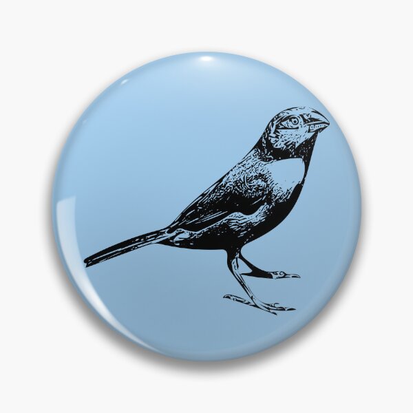 Item preview, Orange-cheeked Waxbill Black Design  designed and sold by designsasstultd.