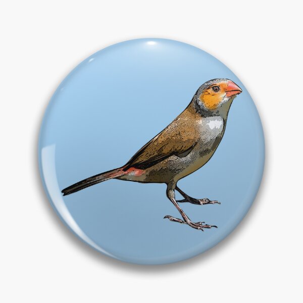 Item preview, Orange-cheeked Waxbill Black Alternate Design  designed and sold by designsasstultd.