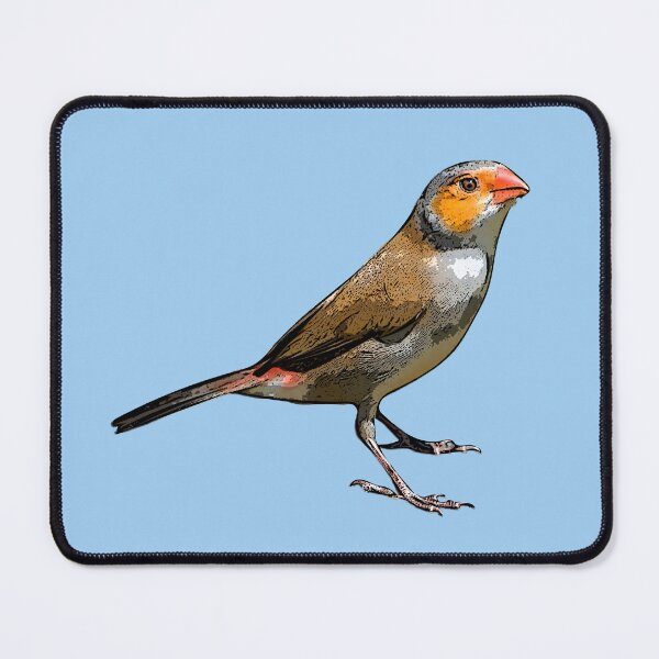 Item preview, Orange-cheeked Waxbill Black Alternate Design  designed and sold by designsasstultd.