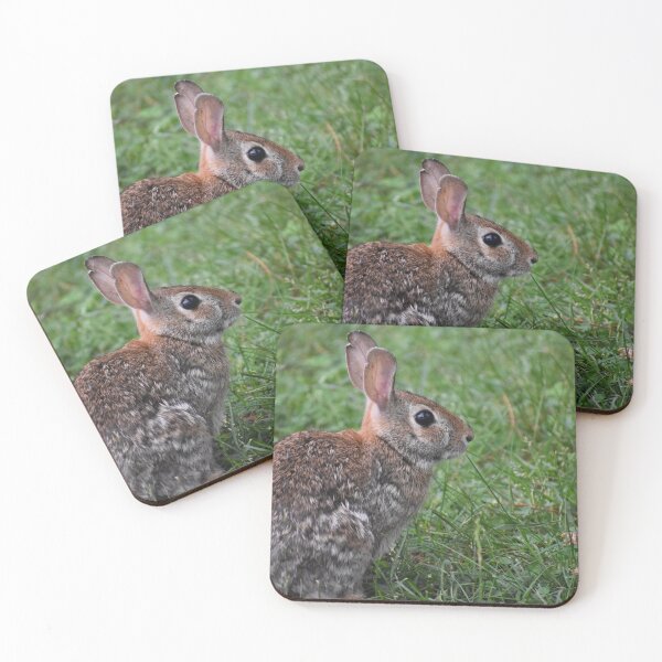 Item preview, Eastern Cottontail  designed and sold by Tonia Delozier's Photography .