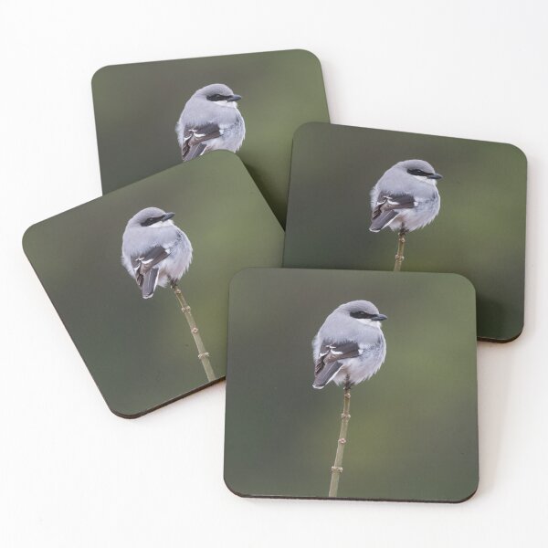 Item preview, Loggerhead Shrike designed and sold by tracyam.