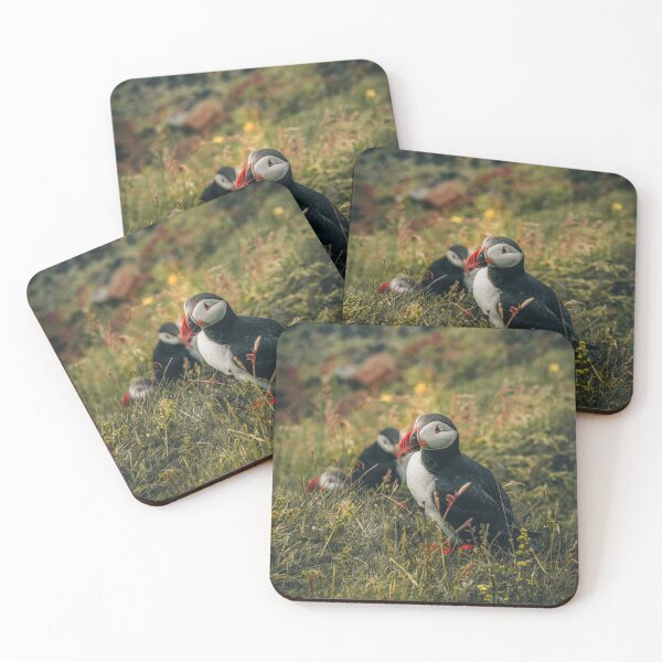 Item preview, Puffins on a black beach - Iceland #92 designed and sold by LucaRamble.