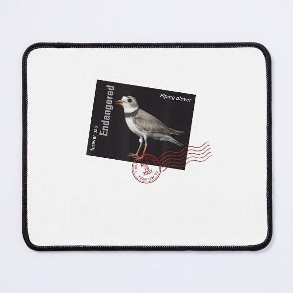 Item preview, Piping Plover designed and sold by webvein.