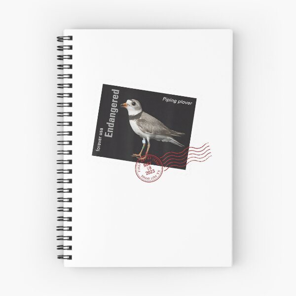Item preview, Piping Plover designed and sold by webvein.