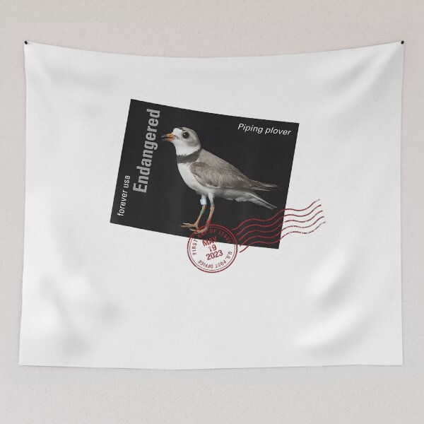 Item preview, Piping Plover designed and sold by webvein.