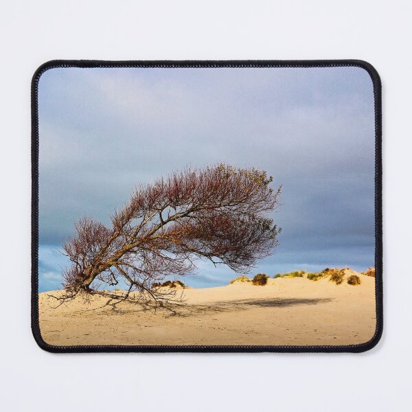 Item preview, Tree in the dunes of Borkum designed and sold by Ruhrpottpicture.