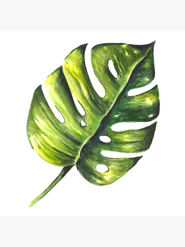 Monstera Leaf Watercolor Painting" Art Board Print By Erika-Lancaster | Redbubble
