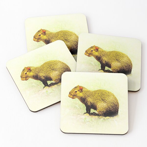 Item preview, Agouti designed and sold by Guardi71.