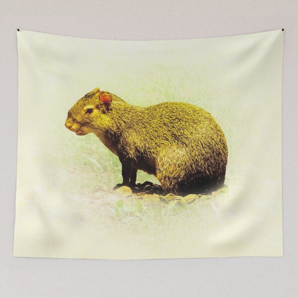 Item preview, Agouti designed and sold by Guardi71.