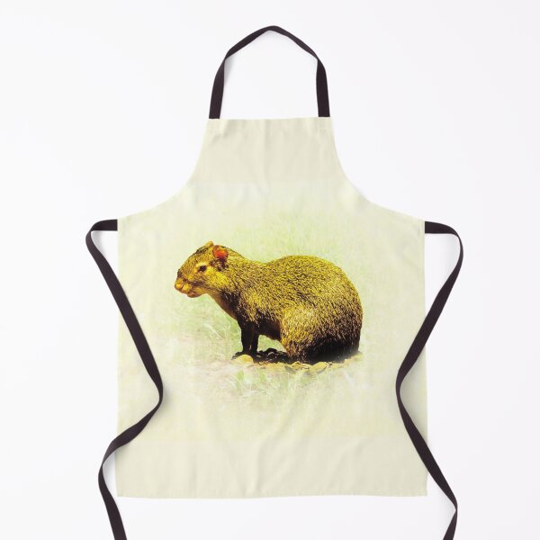 Item preview, Agouti designed and sold by Guardi71.