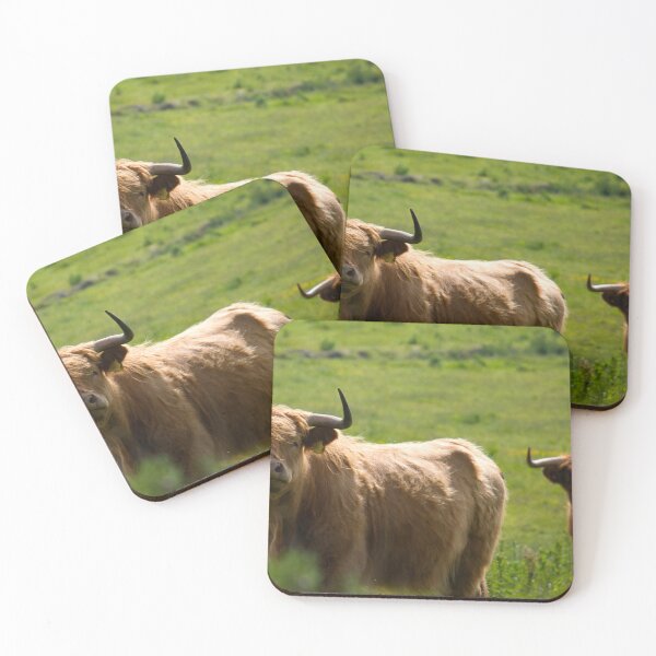 Item preview, Scottish cows designed and sold by milena boeva.