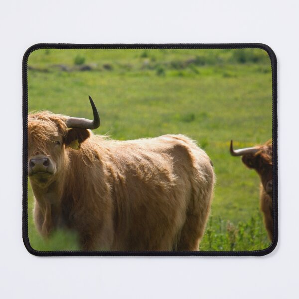 Item preview, Scottish cows designed and sold by milena boeva.