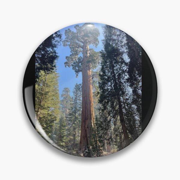Item preview, Huge Sequoia  designed and sold by Nick Fox.