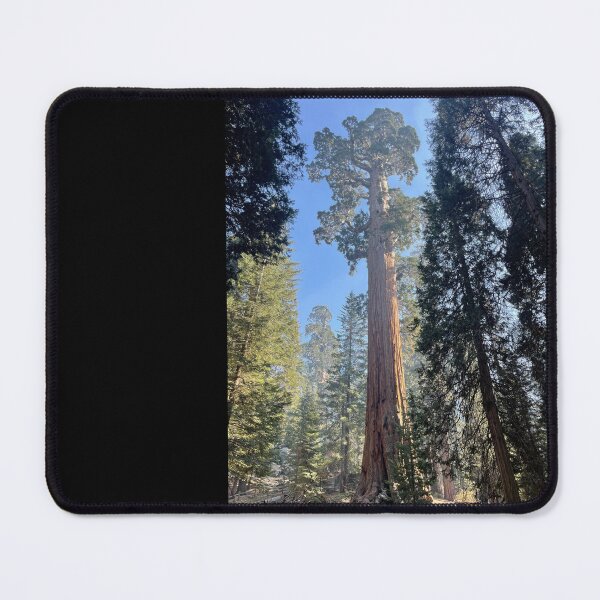 Item preview, Huge Sequoia  designed and sold by Nick Fox.