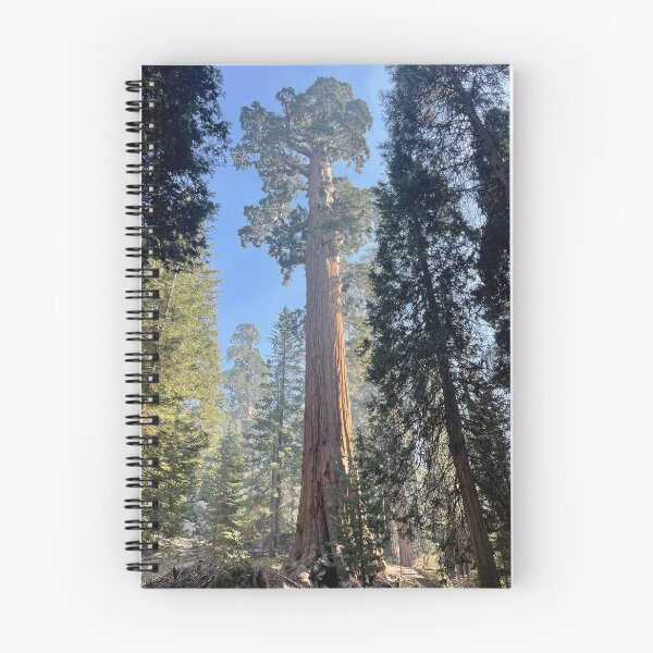 Item preview, Huge Sequoia  designed and sold by Nick Fox.