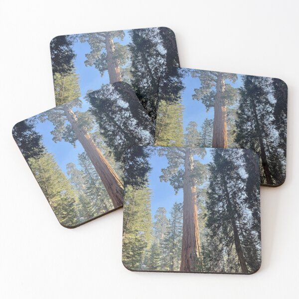 Item preview, Huge Sequoia  designed and sold by Nick Fox.