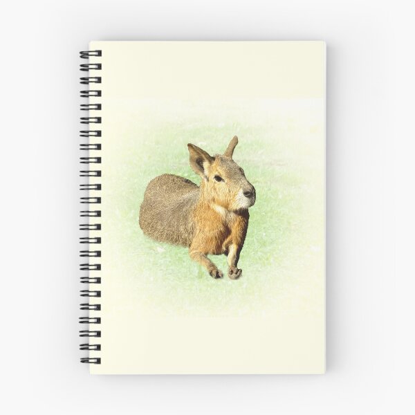 Item preview, Patagonian Mara designed and sold by Guardi71.