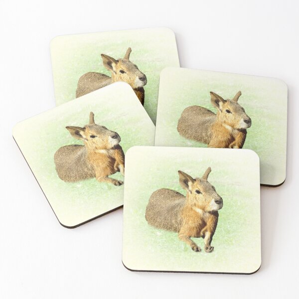Item preview, Patagonian Mara designed and sold by Guardi71.