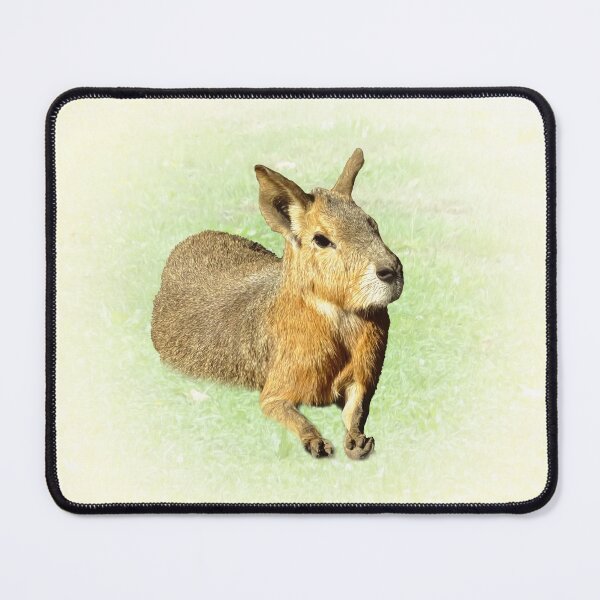 Item preview, Patagonian Mara designed and sold by Guardi71.