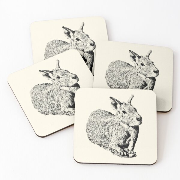 Item preview, Patagonian Mara designed and sold by Guardi71.